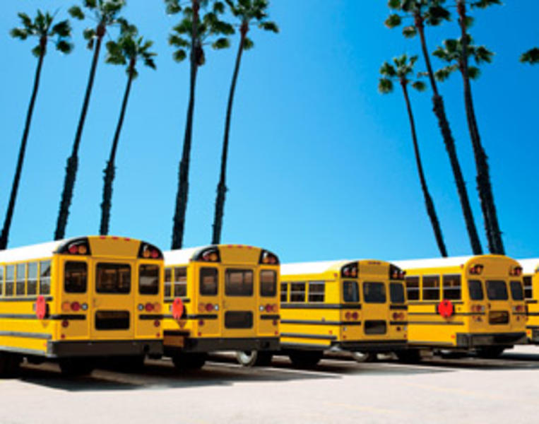 5 Myths About That School Bus for Sale